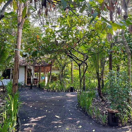 El Campito Lodge Ayampe Exterior photo