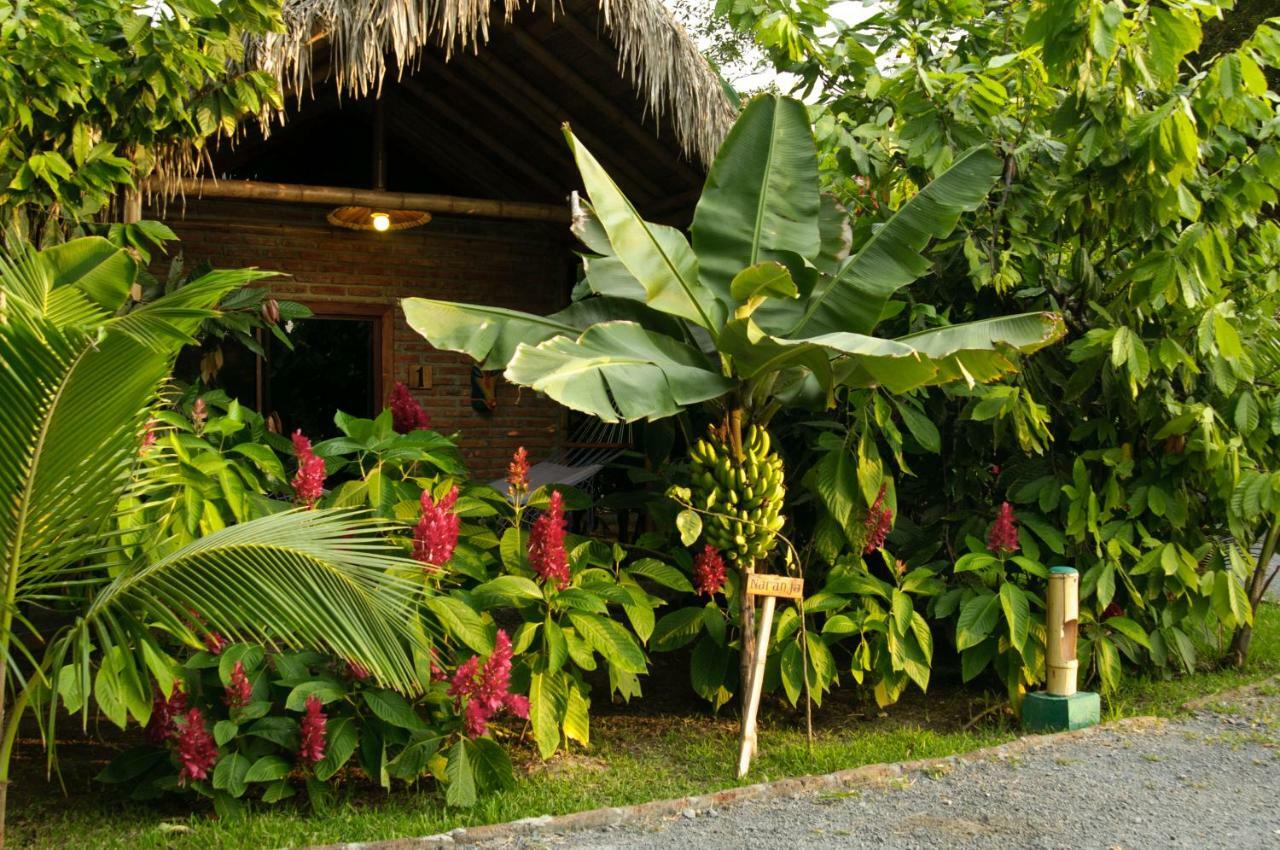 El Campito Lodge Ayampe Exterior photo